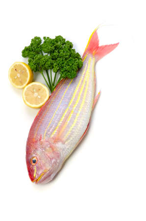 golden threadfin breamの写真素材