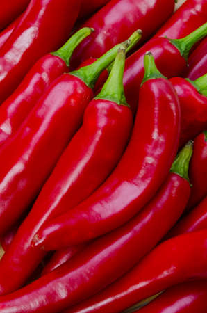 red pepperの写真素材