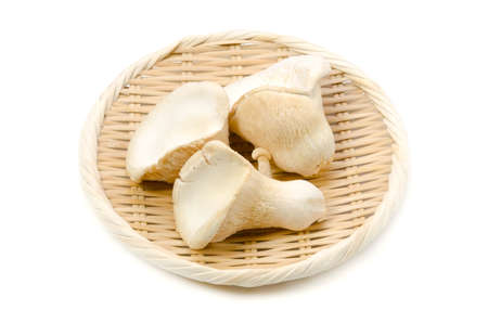 white king oyster mushroomの写真素材