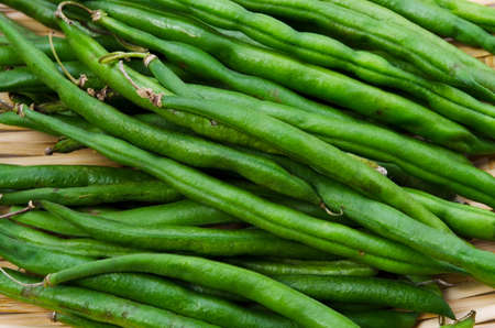 garden beanの写真素材