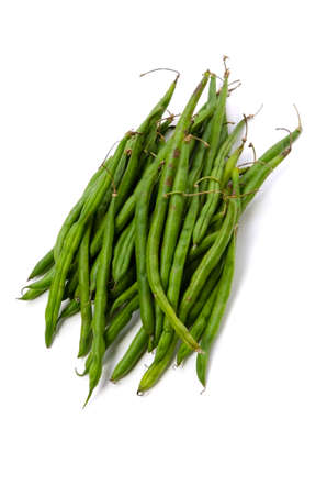 garden beanの写真素材