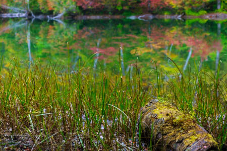 Kamaike pond, Joshinetsu kogen National Park, Japan.の写真素材