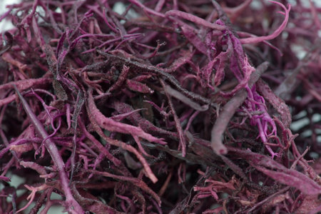 glueplantの写真素材