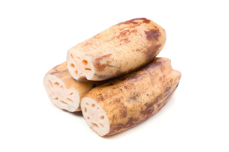 lotus rootの写真素材