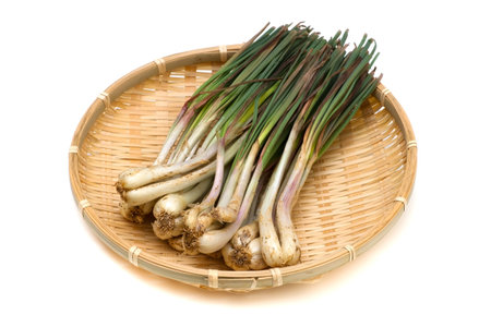 Rakkyo-Allium chinense, This image is available for clipping work の写真素材