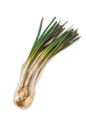 Rakkyo-Allium chinense, This image is available for clipping work の写真素材
