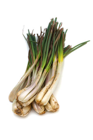 Rakkyo-Allium chinense, This image is available for clipping work の写真素材
