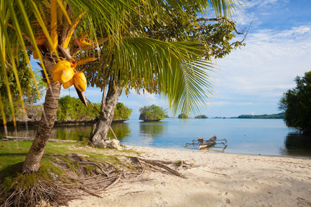 Photo Untouched Tropical Beach in Bali Island. Horizontal Picture