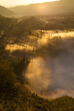Sunrise Mountains.Asia Nature Morning Volcano Viewpoint.Mountain Trekking,View Landscape Valley Bali Village. Nobody photo.Vertical picture.The first rays of the rising sun.White Fog Jungle Forestの写真素材