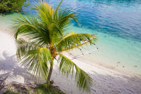 Photo Natural Wood Long Tail Boat Parked Caribbean Ocean Beach Island. Clear blue water Palm Background. Horizontalの写真素材