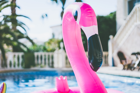 Summer Fun in the swimming pool concept. Inflatable pink flamingo at sunny day outside the city.の写真素材