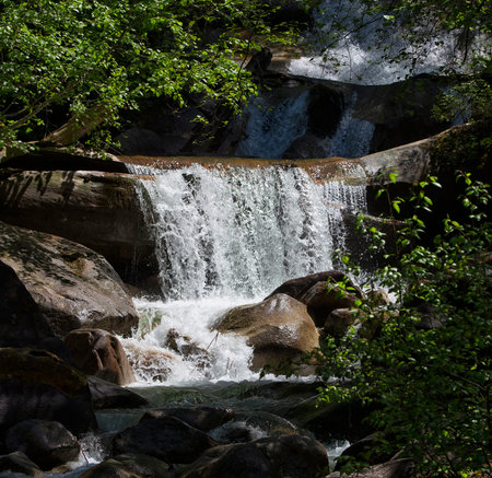 A vertical shot of a waterfall surrounded by greenery under the sunlight
