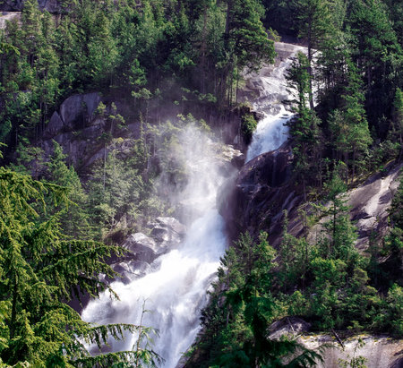 Waterfall in the mountains. The waterfall is located in the forest.