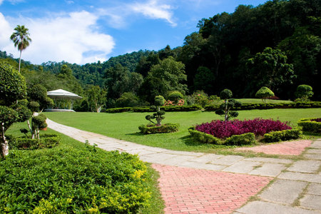 sunny day at Botanical Park in Penangの写真素材