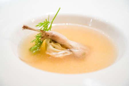 bird soupの写真素材