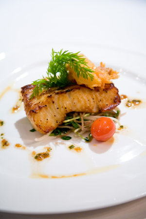 fish gourmet mealの写真素材