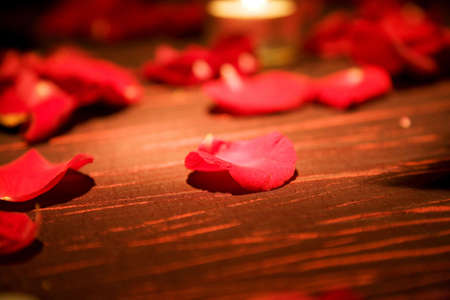 red rose petals spread on the table for special occasionの写真素材
