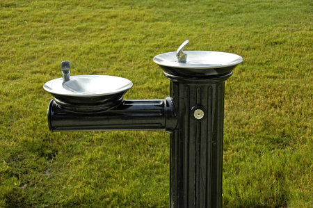 Water Fountain in the Park                                 の写真素材