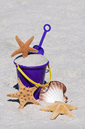 Beach Bucket with Starfish and Seashellの写真素材