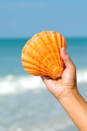 Woman's Hand Holding a Seashell with Ocean in Backgroundの写真素材