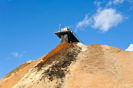 Stock Pile of Pulpwood at a Paper Mill