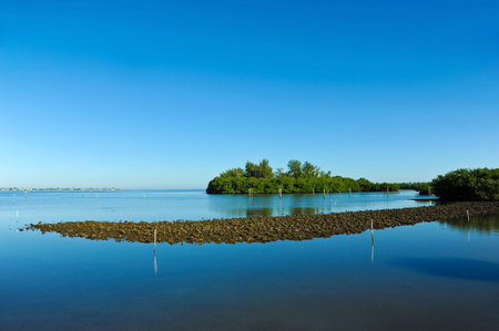 Perico Bayou located on the west coast of Florida between Bradenton and Anna Maria Islandの写真素材
