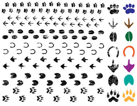 Grungy animal foot and hoof print tracksのイラスト素材