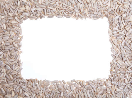 Healthy sunflower seeds framing a white background.の写真素材
