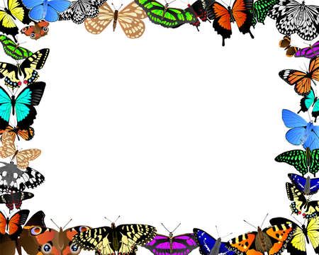 Colorful butterflies in a frame around clear white spaceのイラスト素材