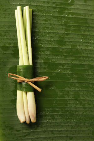 Lemongrass on banana leaves.の写真素材