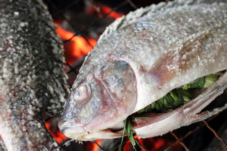 Grilled fish の写真素材