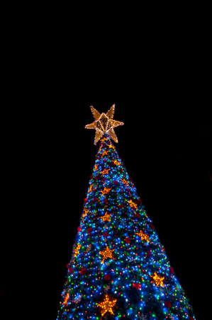Lighten up christmas tree at nightの写真素材