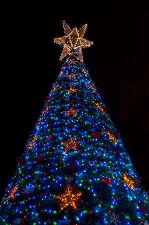 Lighten up giant christmas tree at nightの写真素材