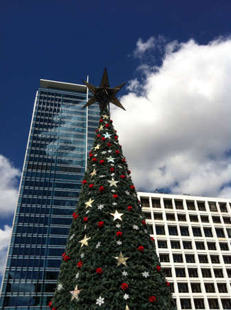 Big Christmas tree in the city business district の素材