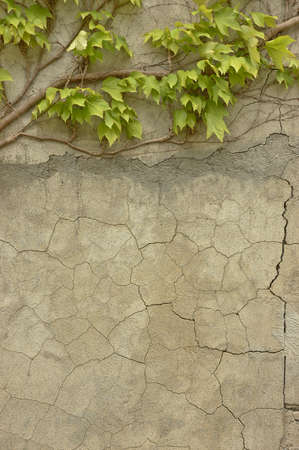 old Italian cracked wallの写真素材