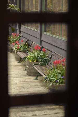 bench and flowers from wooden window frameの写真素材