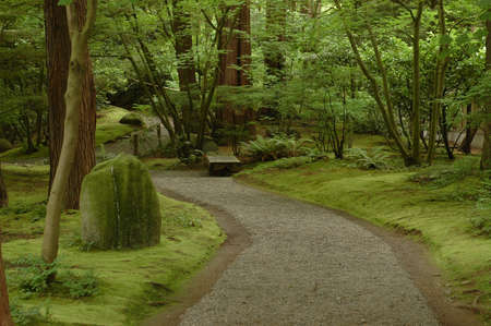 humid walkway in Japanese gardenの写真素材