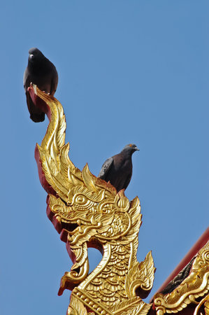 Birds on top of Naga dragon golden statue in Northen Thailand templeの写真素材