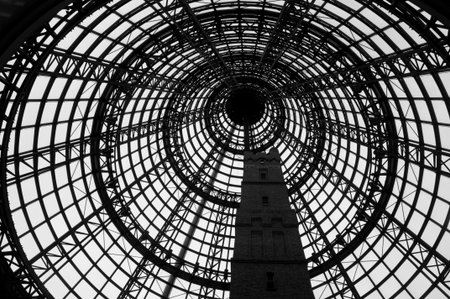 Melbourne Australia  January 30 2014: Classic dome structure cover Melbourne Tower in black and whiteのeditorial素材