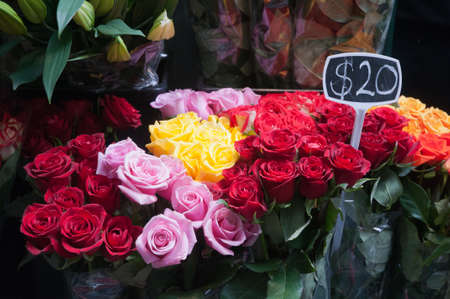 Bunch of variety colour rosesの写真素材