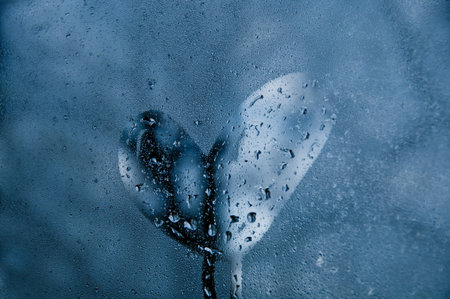 Heart shape on droplet window of cold misty morningの写真素材