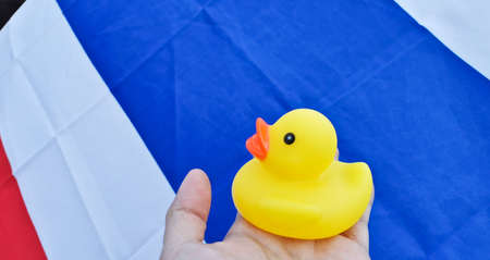 BRISBANE, AUSTRALIA - NOVEMBER 29, 2020: Yellow rubber duck represents a sympbol of innocent people in the peacefully rally at King George Square, City Hall, in Brisbane Australia to protest the dictaのeditorial素材