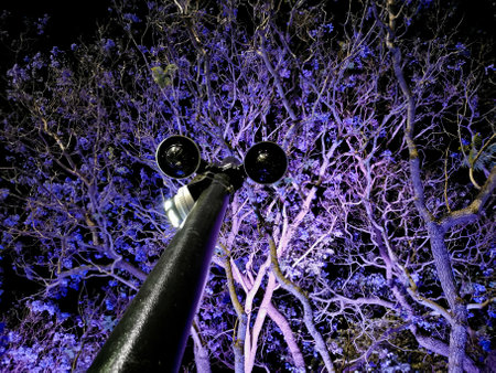 CCTV security cameras pole to monitor situation in the fantasy mysterious purple forestの写真素材