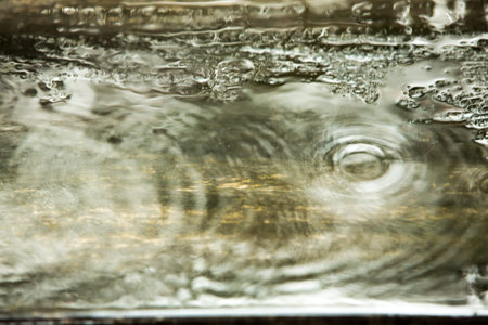 Raindrops on wood, Blur Background