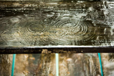 Raindrops on wood, Pool Backgroundの写真素材