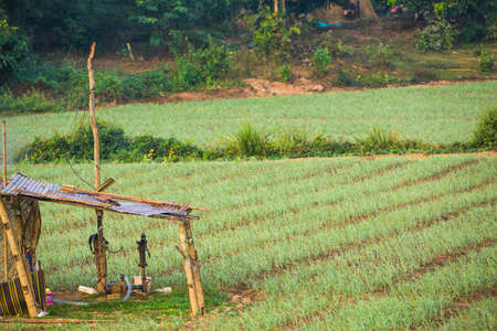 Retro water pump in the fields, Thailandの写真素材