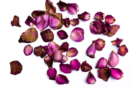 Dried petals of roses on white background, Abstract pattern conceptの写真素材