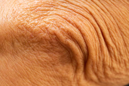 Senior woman's wrinkled elbow, Close up & Macro shot, Selective focus, Asian body skin concept, Abstract backgroundの写真素材