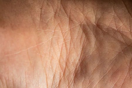 Woman's skin on foot sole, Close up & Macro shot, Asian Body skin part, Healthcare concept, Abstract backgroundの写真素材