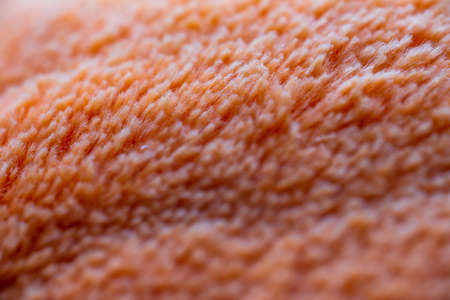 Orange fiber wool dolls texture background, Close up & Macro shot, Selective focusの写真素材